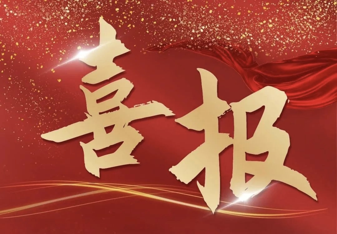 【喜報】榮獲“2024年度重慶優秀工